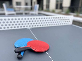Table tennis at Elevate Apartments, Madison, WI